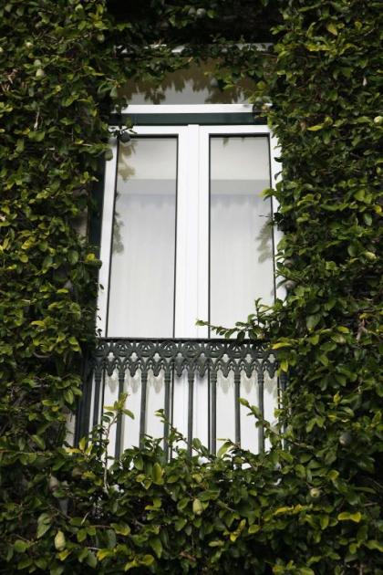 As Janelas Verdes - Lisbon Heritage Collection - image 13