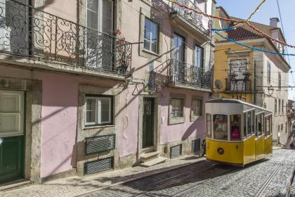 Chiado Blue by Homing - image 11