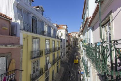 Chiado Blue by Homing - image 17