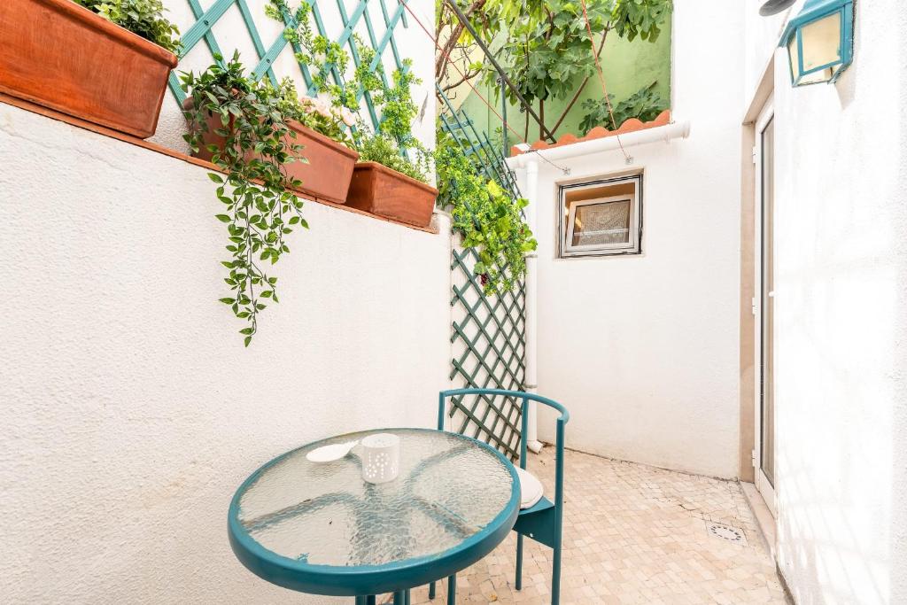 Charming 1BR Apt - 15 mins to Doca do Alcantara - image 2